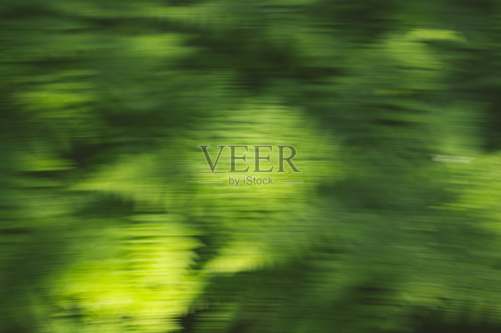 绿色蕨类图案在斑驳的光模糊照片摄影图片