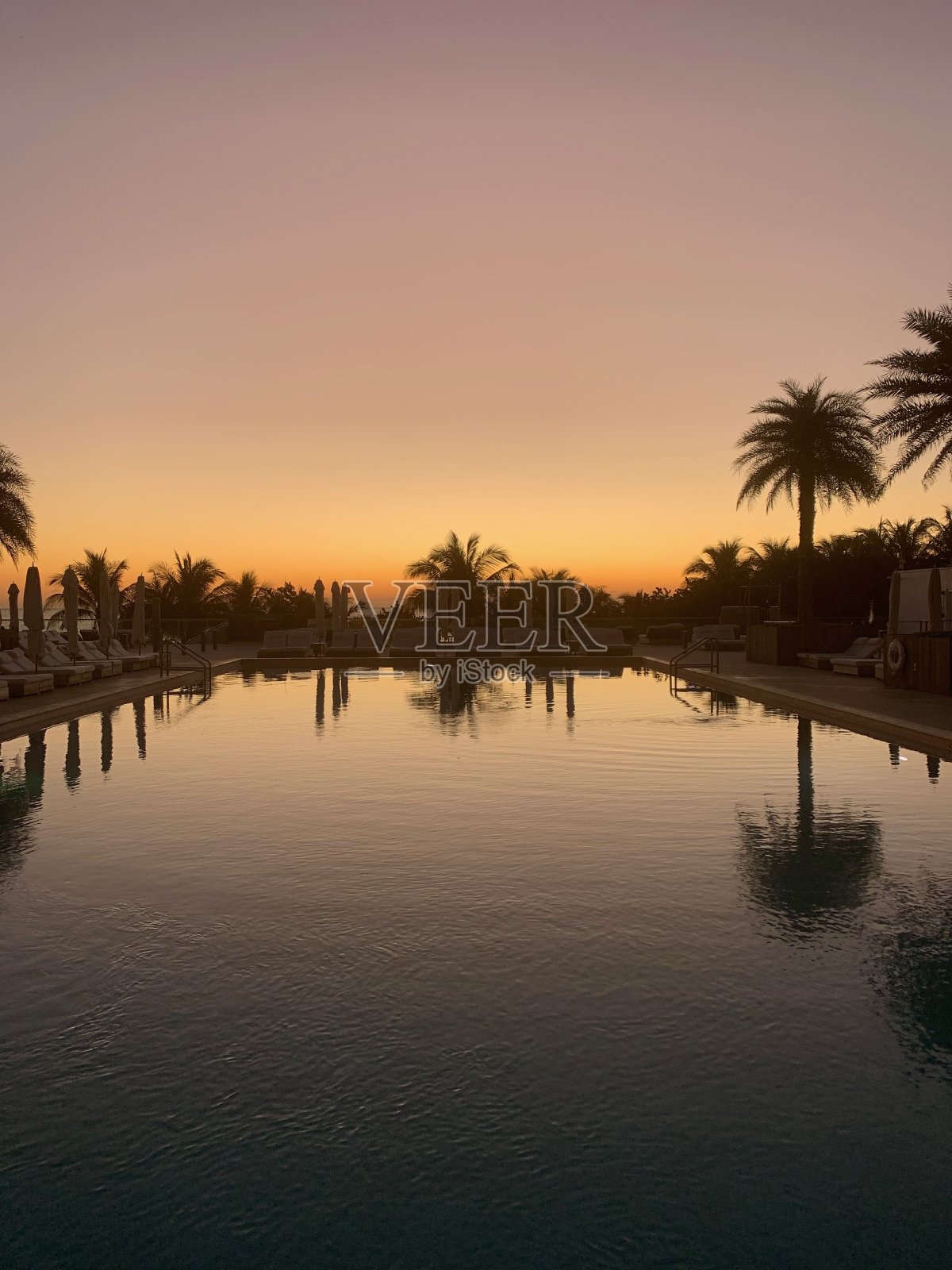 在夕阳下，反射的休息室游泳池与棕榈树成行照片摄影图片