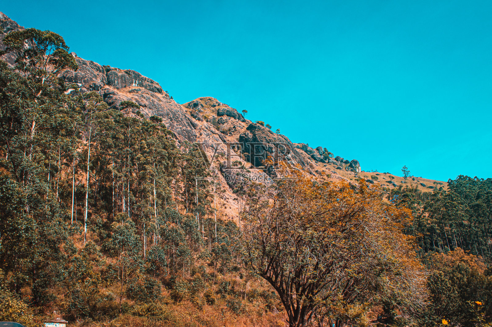 蒙纳山照片摄影图片