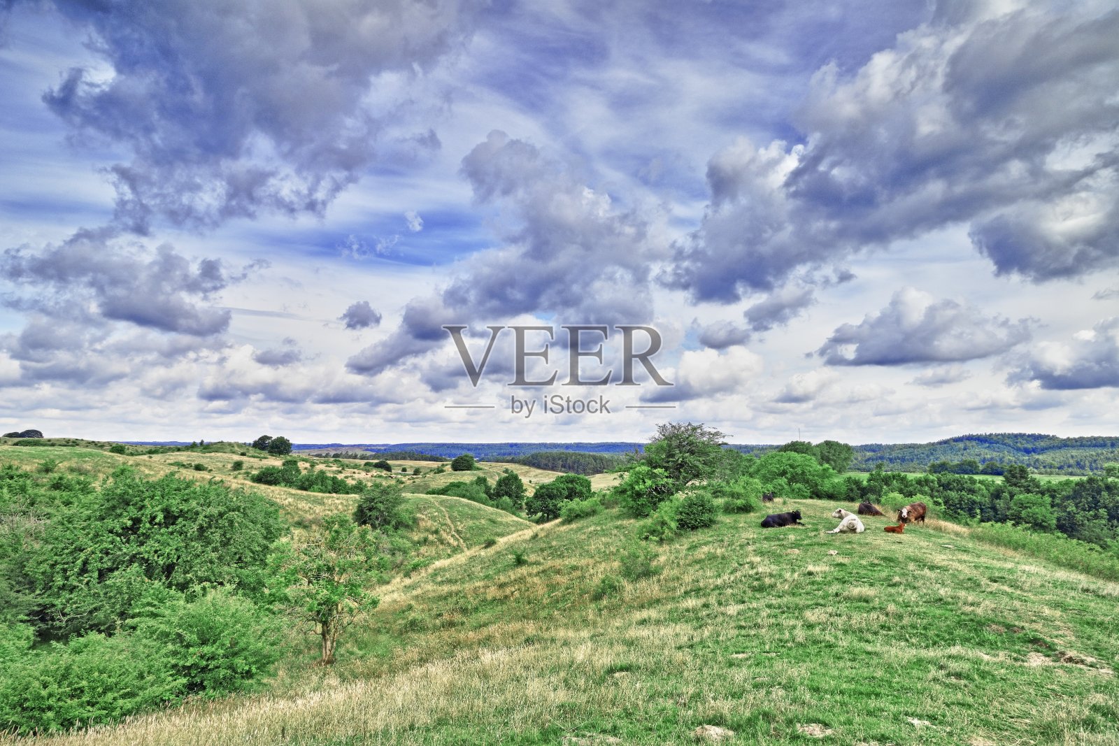 景观照片摄影图片