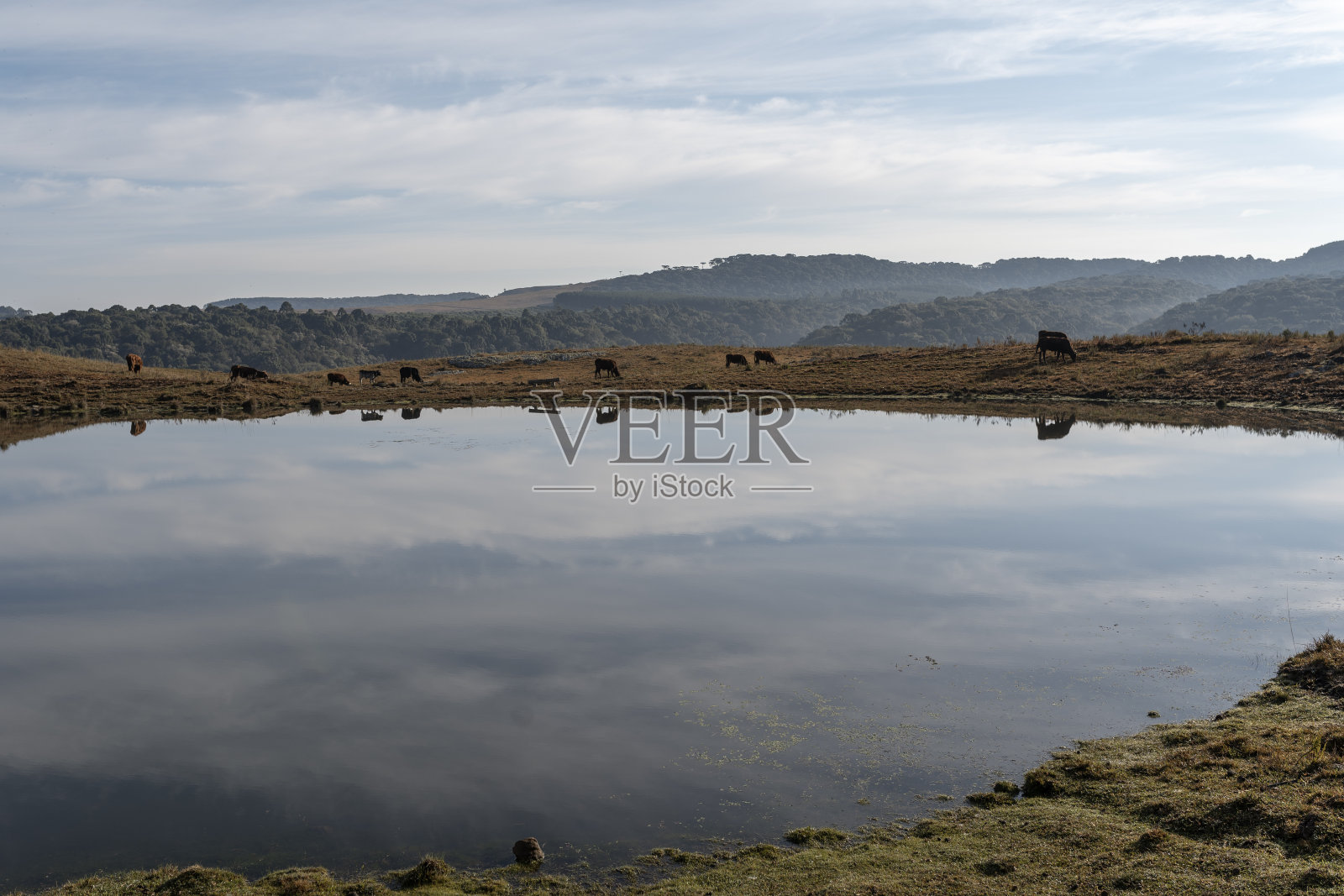 巴西南部湖的风景，Cambará do Sul，里约热内卢Grande do Sul照片摄影图片