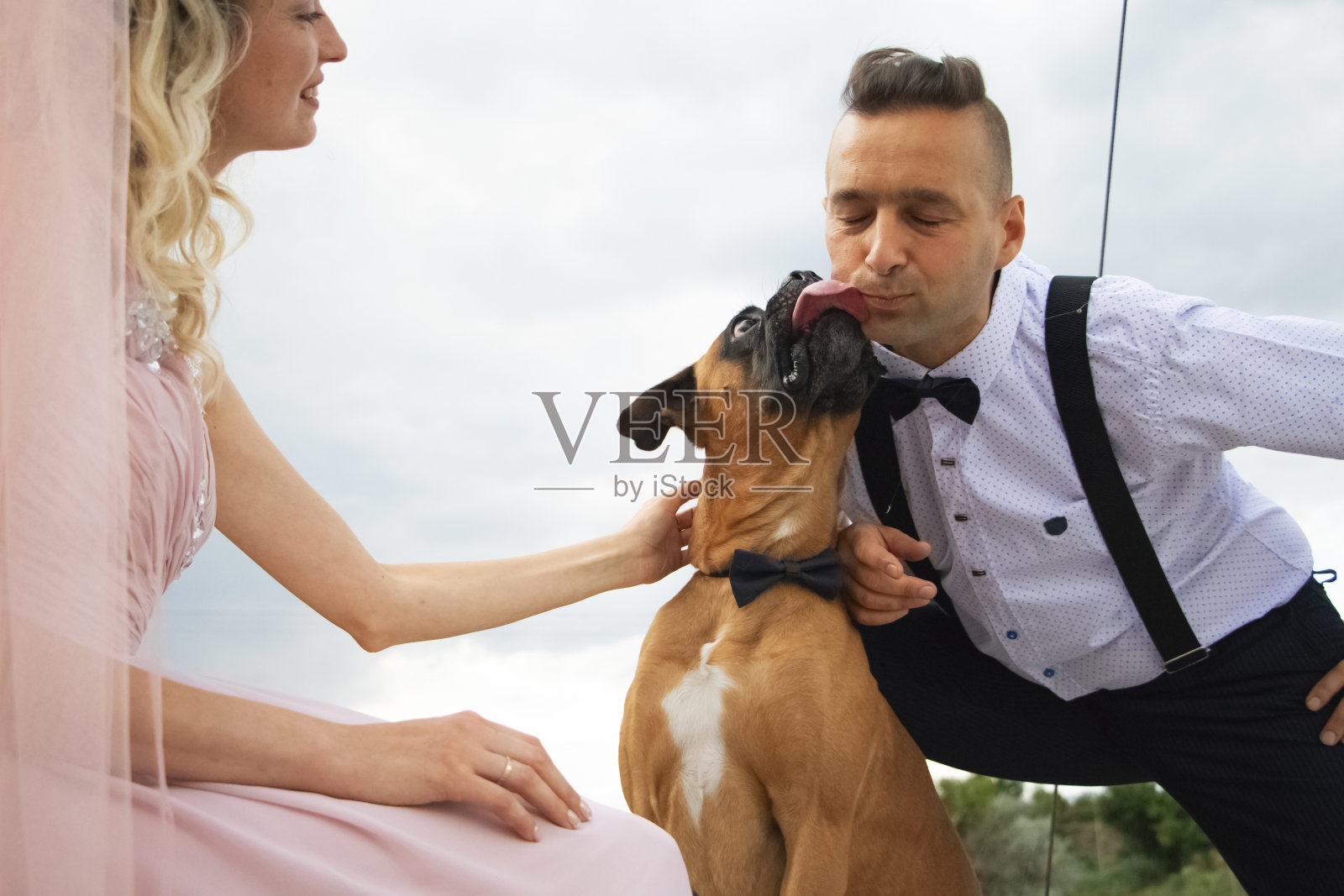 创意潮人的海边婚礼。新娘身着粉色的婚纱和面纱，新郎则穿着漂亮的吊带裤和年轻的衬衫。婚礼上狗代替证人出席照片摄影图片