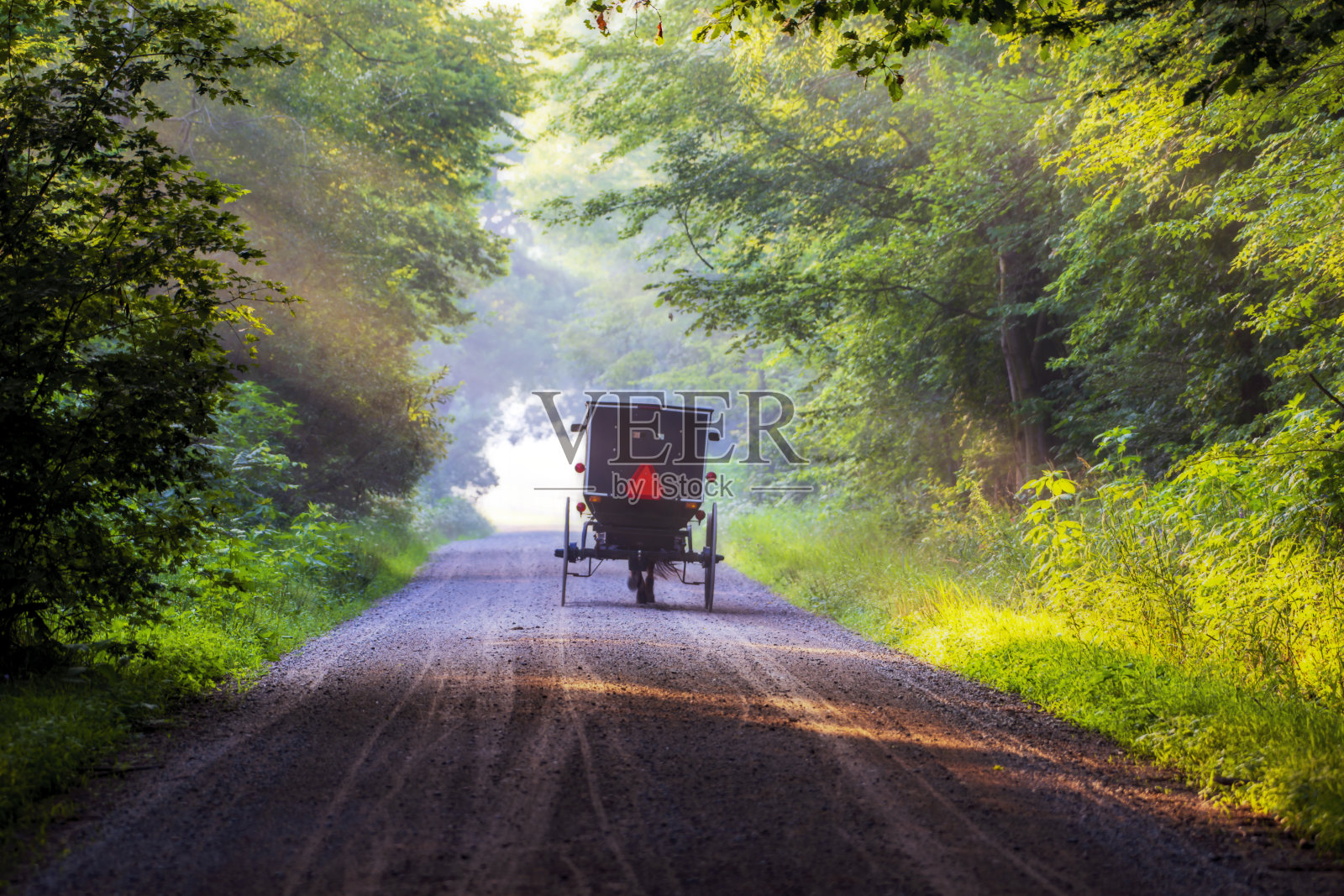 阿米什马车在清晨的阳光照片摄影图片