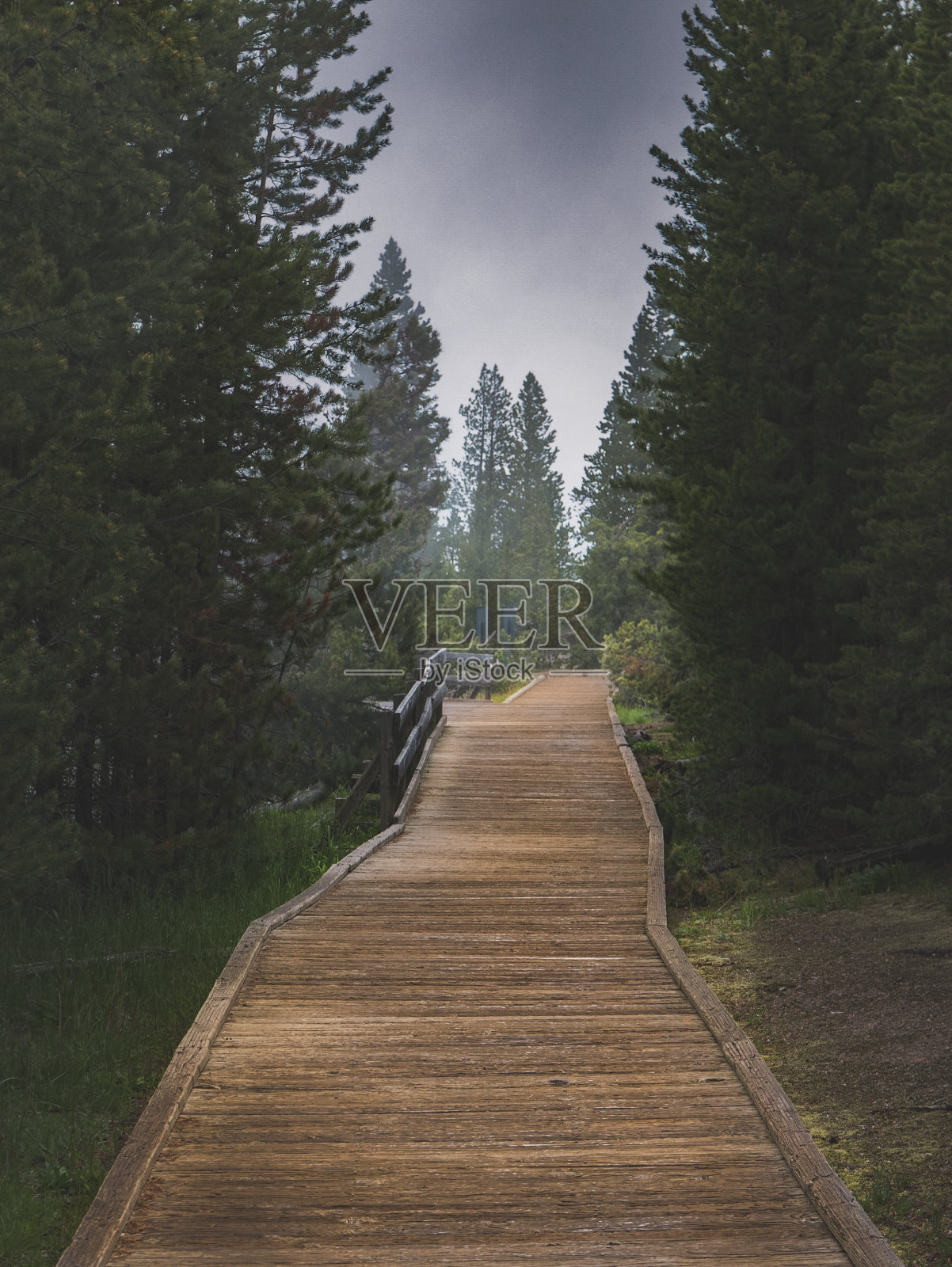 黄石公园景观照片摄影图片