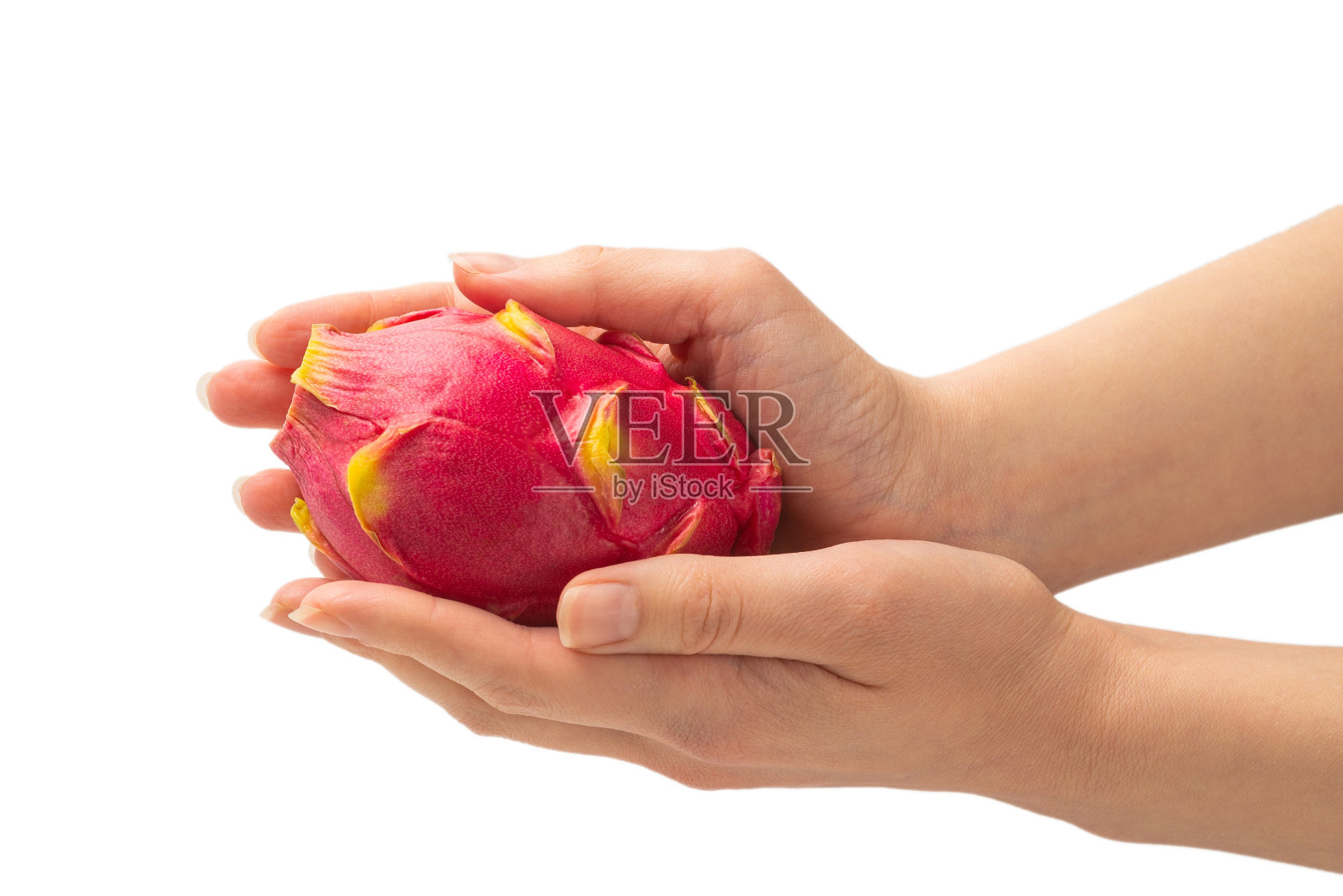 香甜可口的火龙果或火龙果在女人手中孤立。照片摄影图片