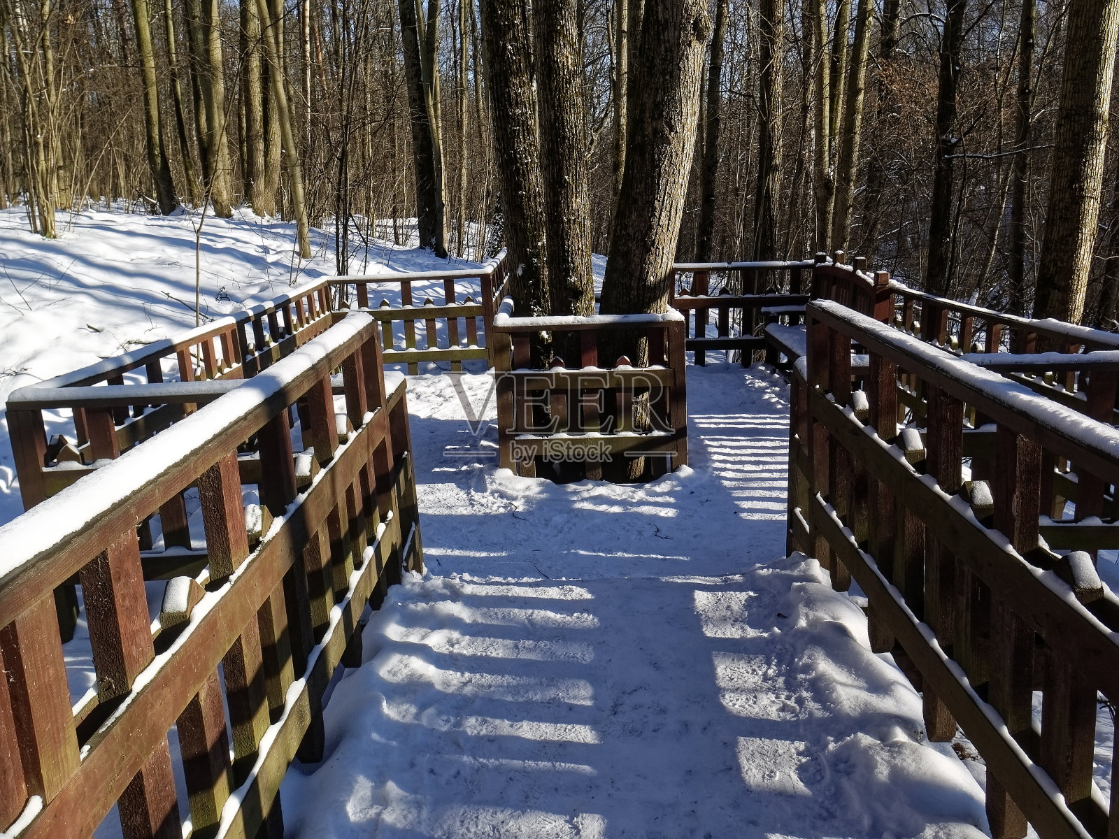 冬天森林里的木凳照片摄影图片