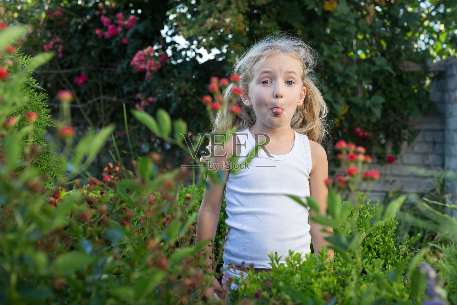 小女孩露出了舌头。照片摄影图片