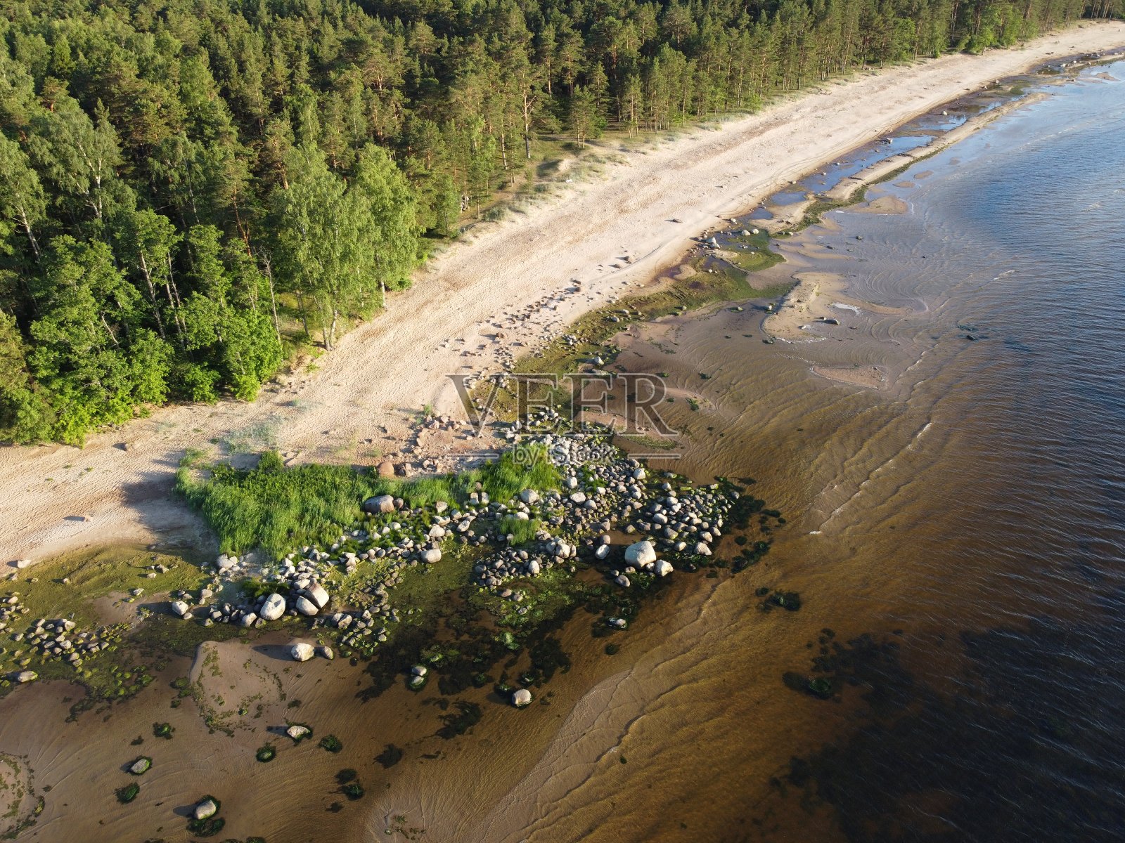 芬兰湾的野生海岸在一个夏天晴朗的日子航拍照片摄影图片