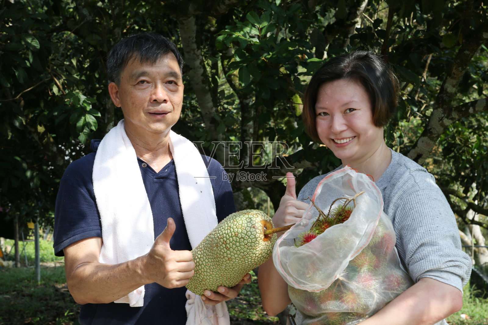 红毛丹农场企业家-退休计划照片摄影图片