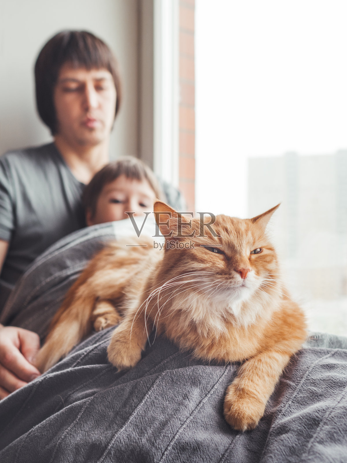 父亲，儿子和他们可爱的姜黄色的猫坐在窗台上。家人在毯子下放松。男人，蹒跚学步的男孩和毛茸茸的宠物在舒适的家里。照片摄影图片
