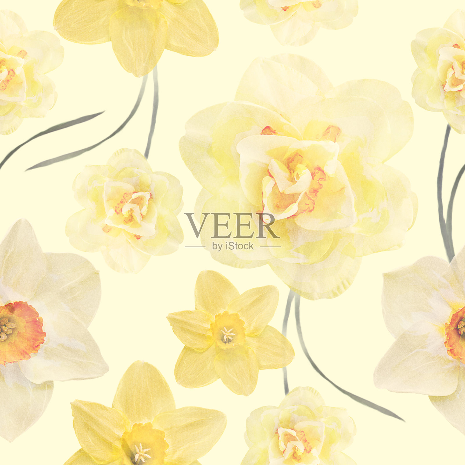 无缝花卉设计与水仙花为背景照片摄影图片