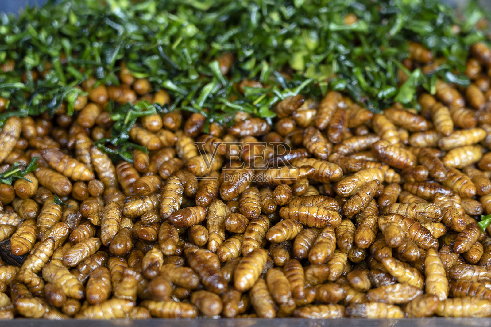 炒蚕丝是泰国街头美食中的美味。近距离照片摄影图片