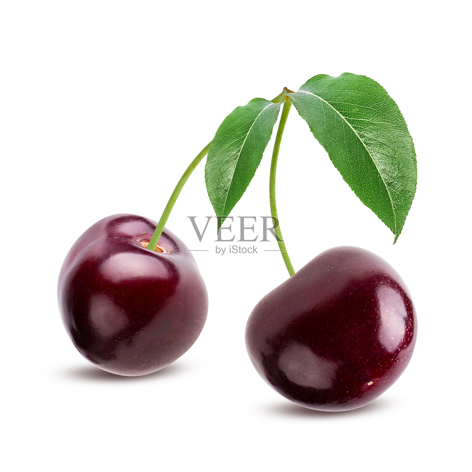 樱桃与叶子孤立的白色背景与修剪路径照片摄影图片