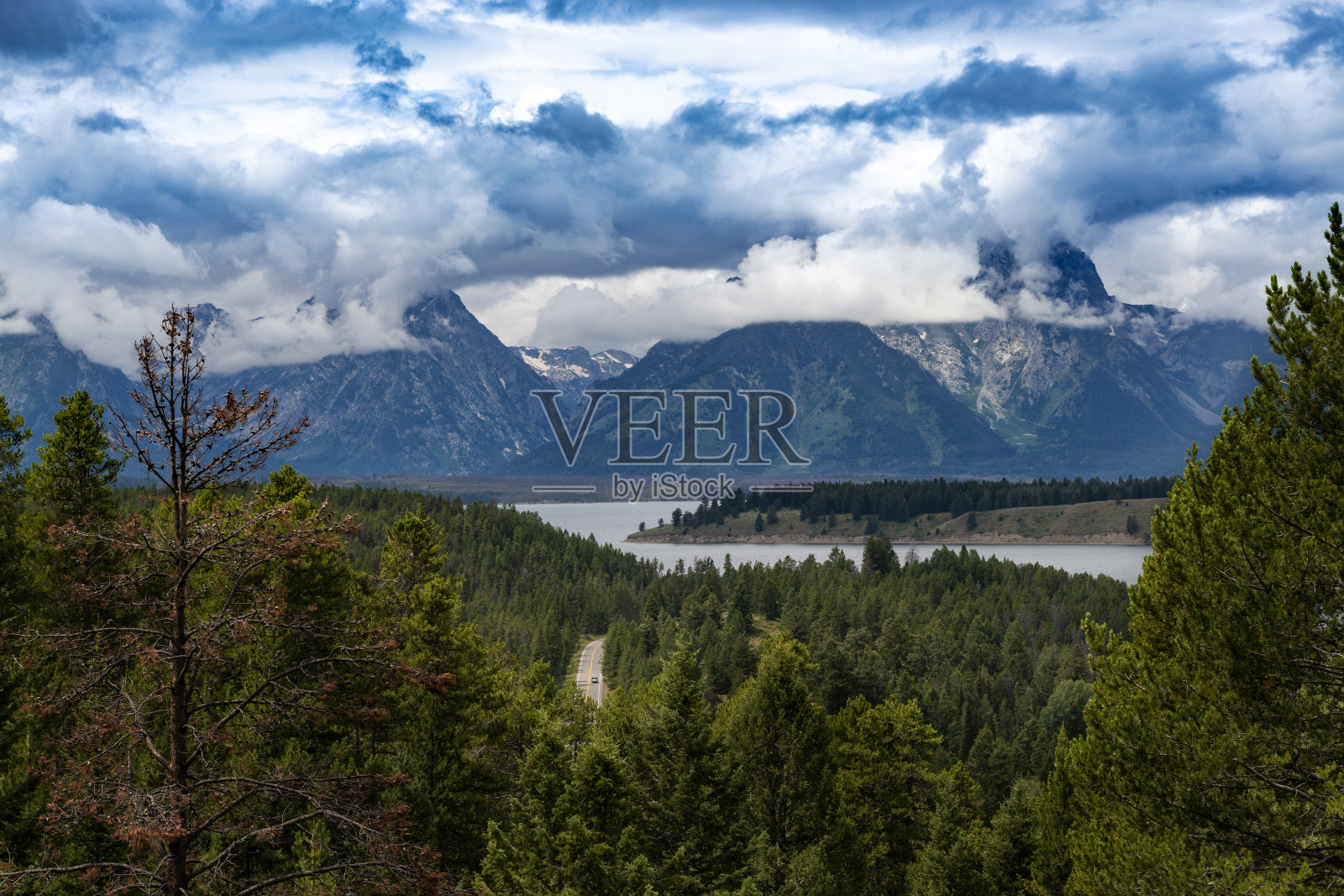森林的风景与道路通往一个湖与大提顿山的背景照片摄影图片