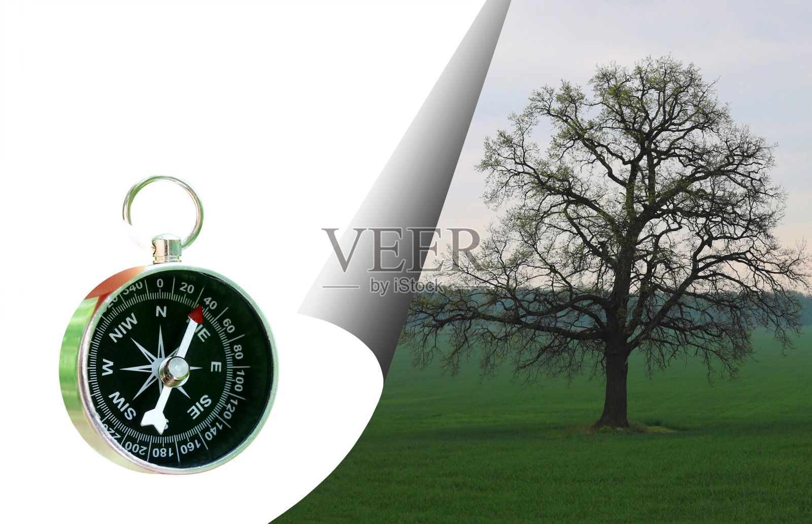 抽象照片与孤独的树和旅游经典指南针照片摄影图片