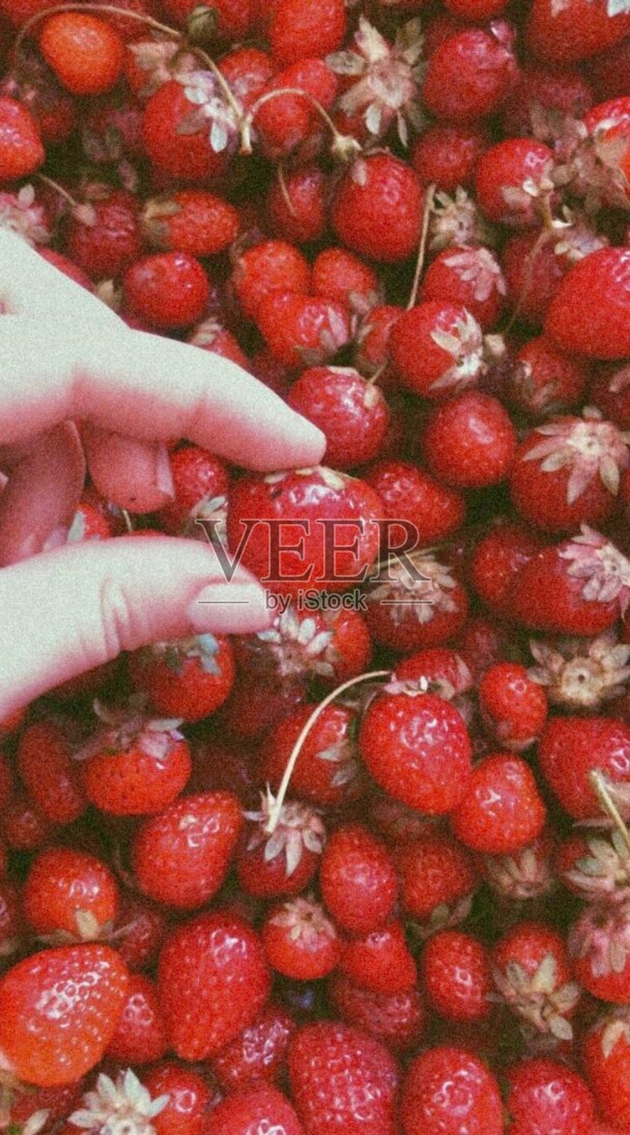 水果集合照片摄影图片