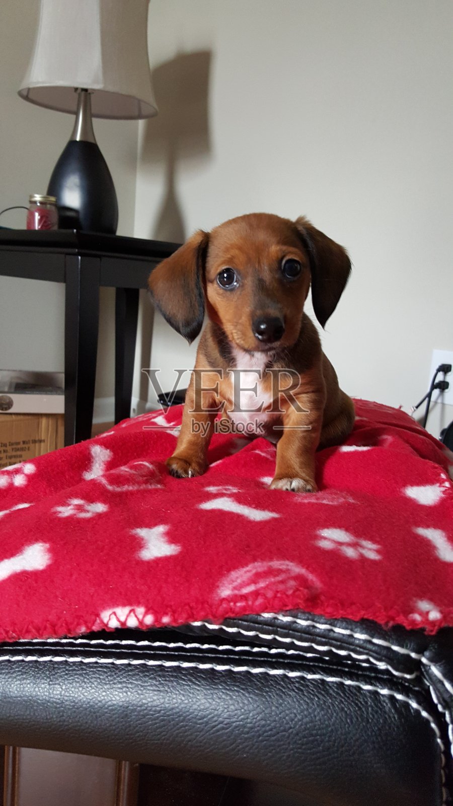 岩石照片摄影图片