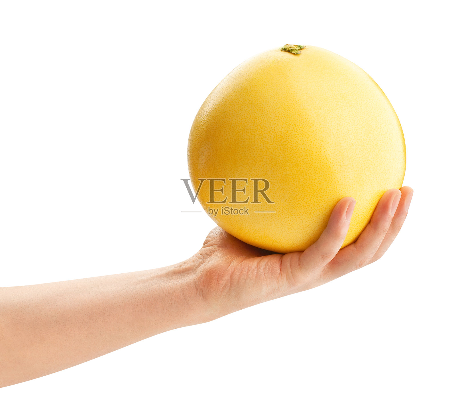 柚子照片摄影图片