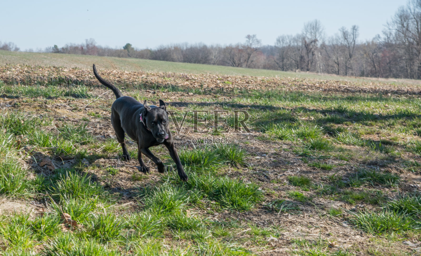 在运行照片摄影图片