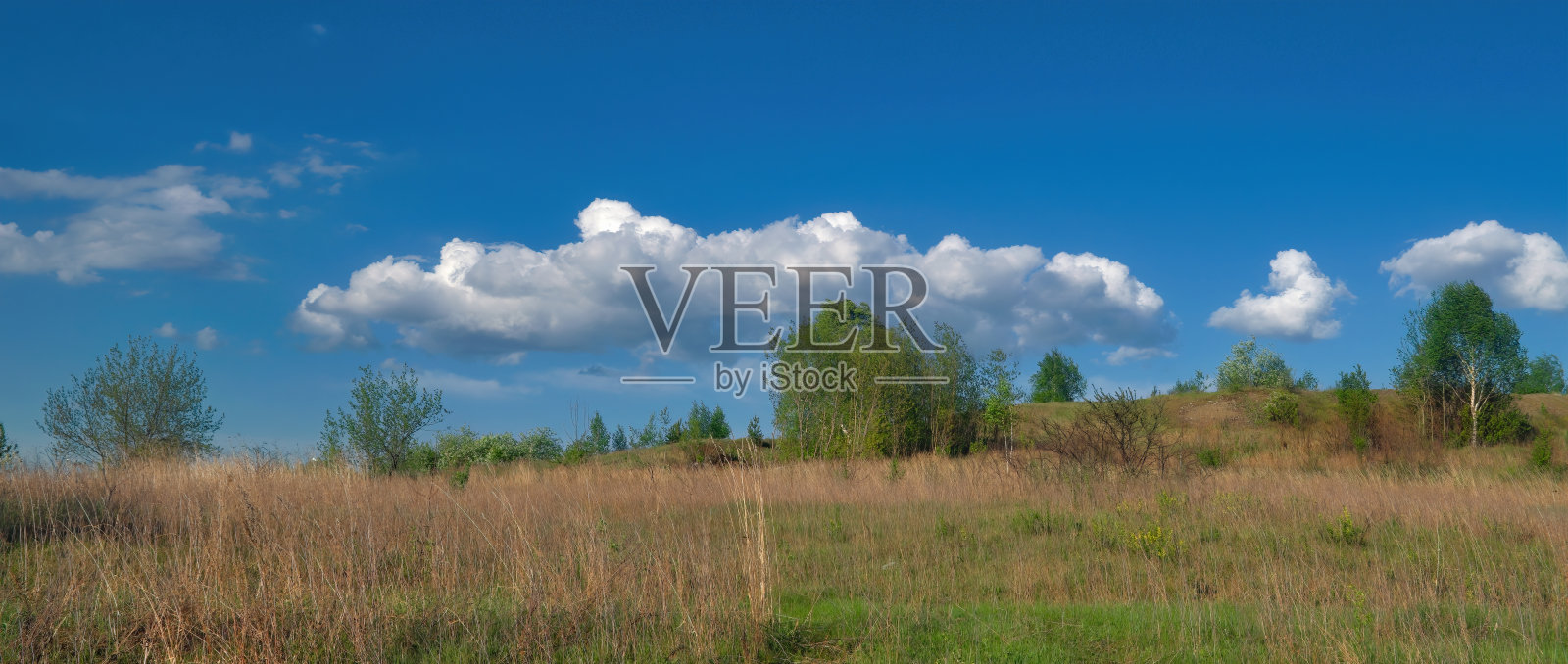夏季景观绿色草地上的背景森林和多云的天空。照片摄影图片