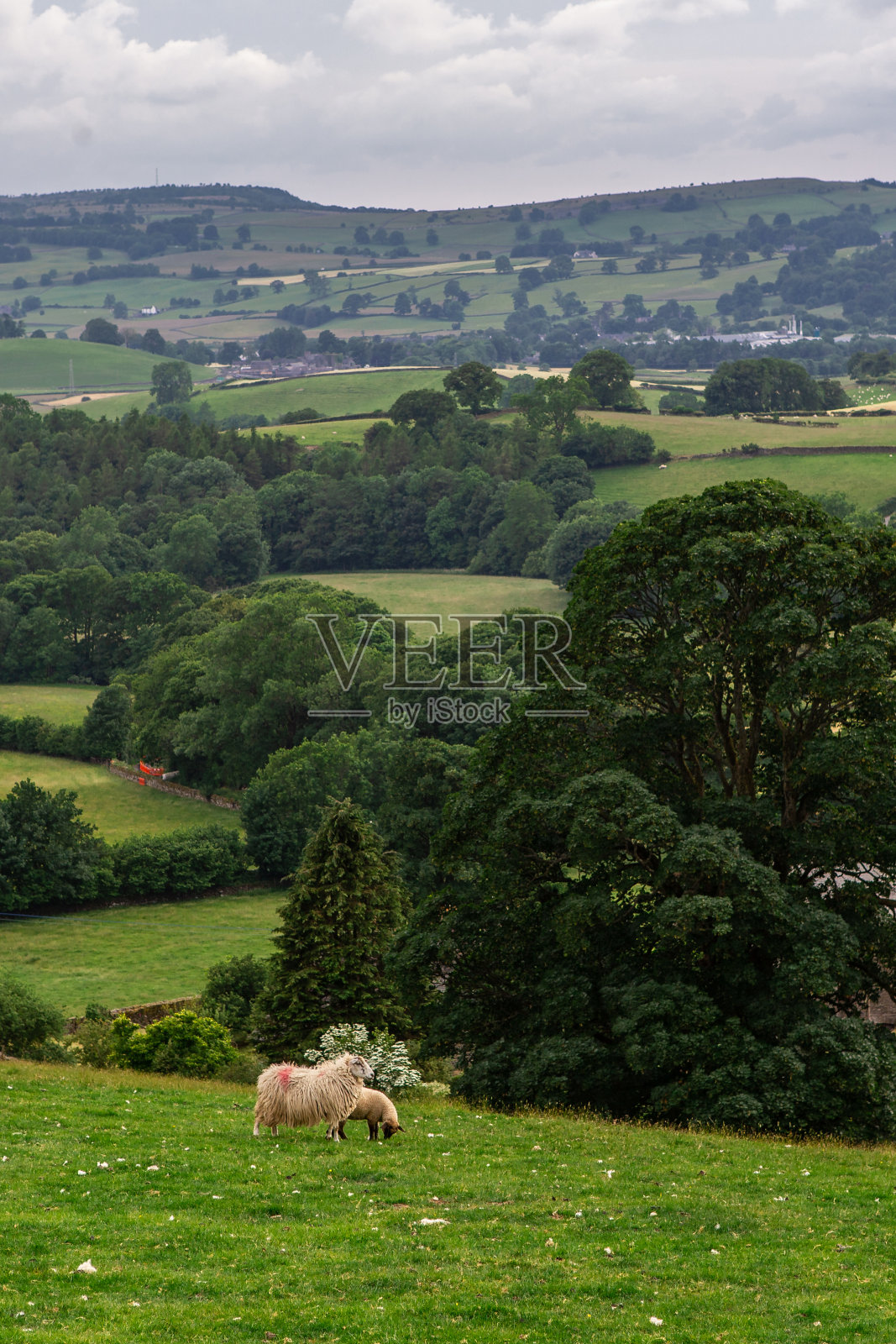 湖区的农场照片摄影图片