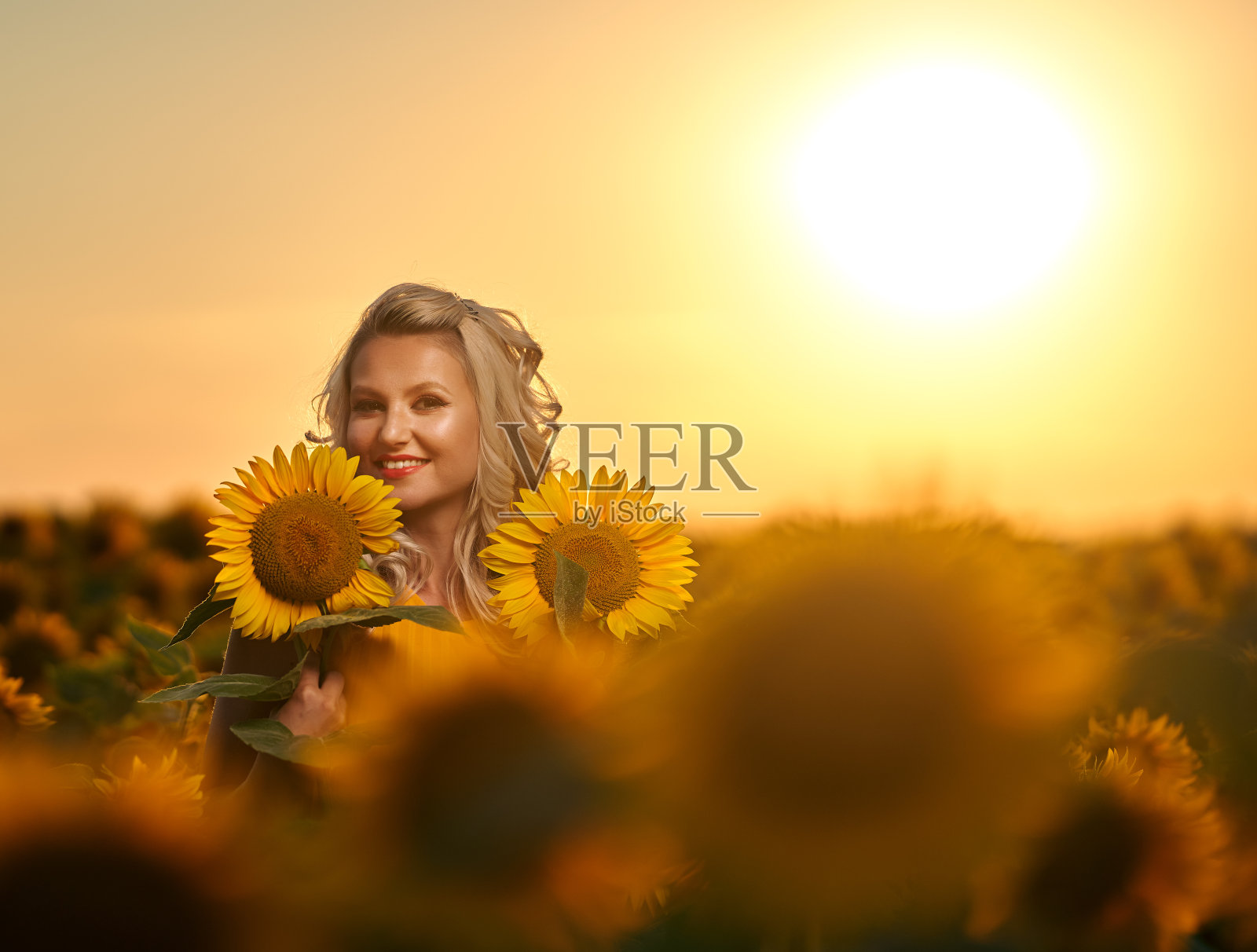 日落时分，在向日葵地里的年轻迷人的女人照片摄影图片