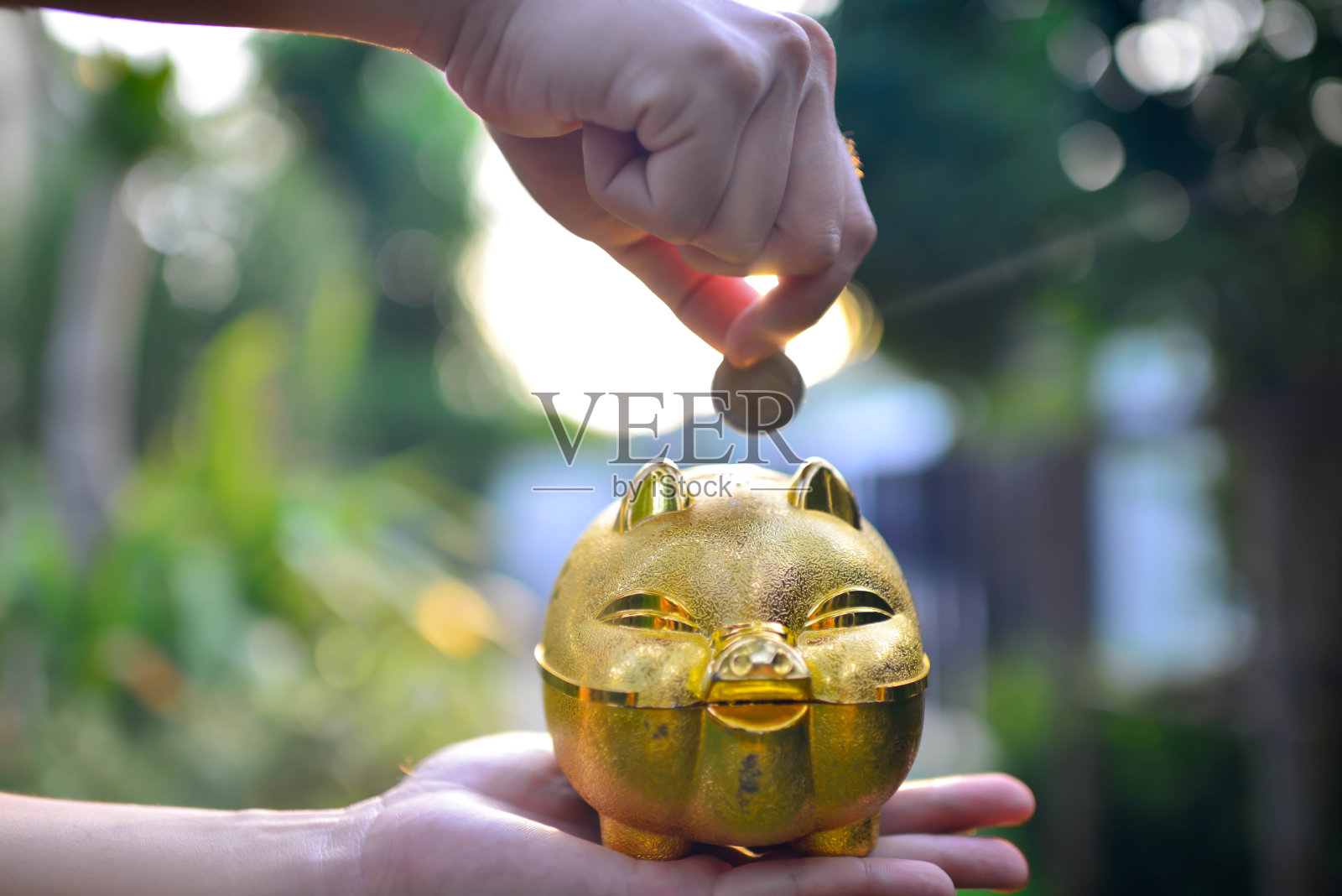 男子手把钱硬币放入小猪在阳光的背景照片摄影图片