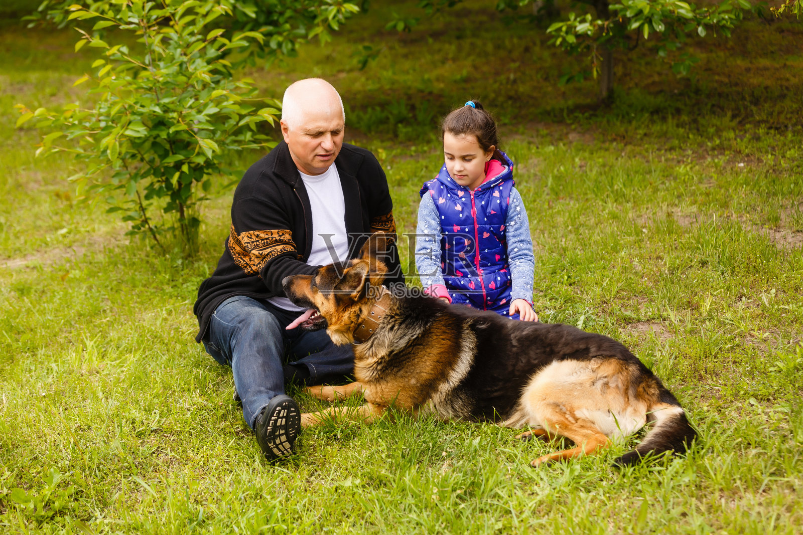 小女孩的肖像与高级爷爷在后院的花园，站着。照片摄影图片