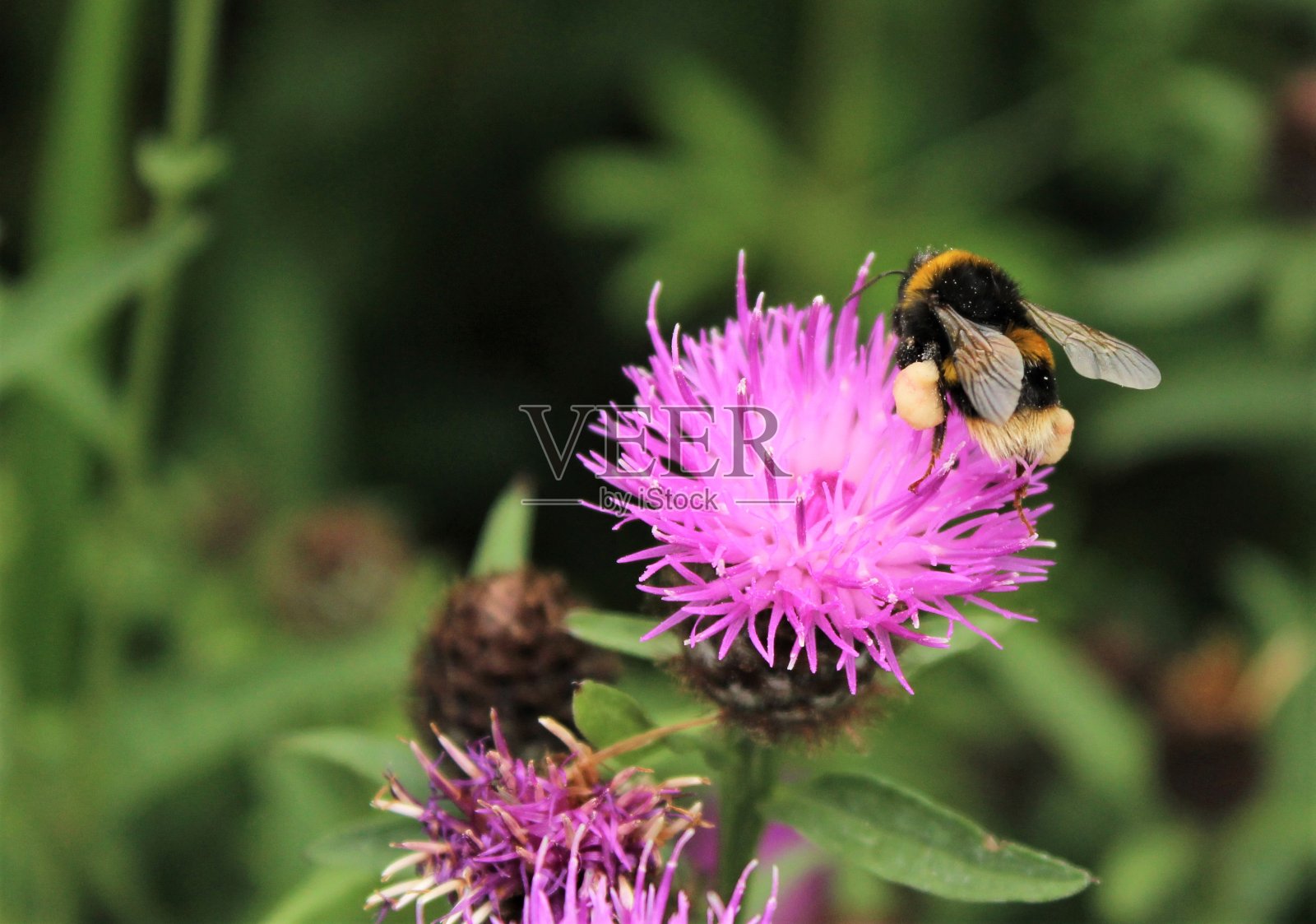 重载照片摄影图片
