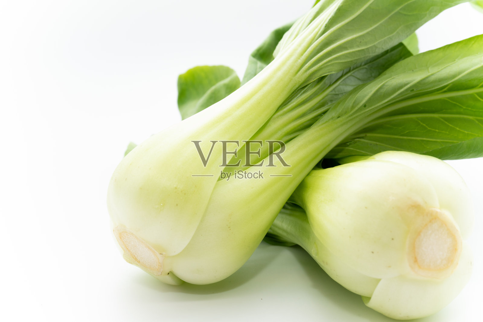 白色背景上的中国小白菜照片摄影图片