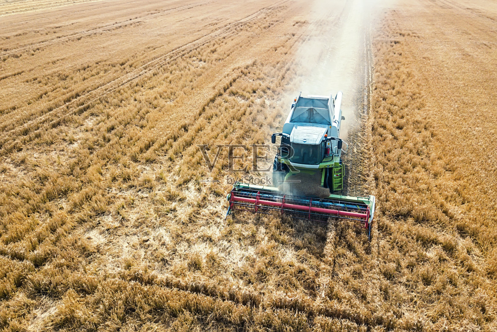 联合收割机在麦田里工作。结合收割机鸟瞰图。照片摄影图片