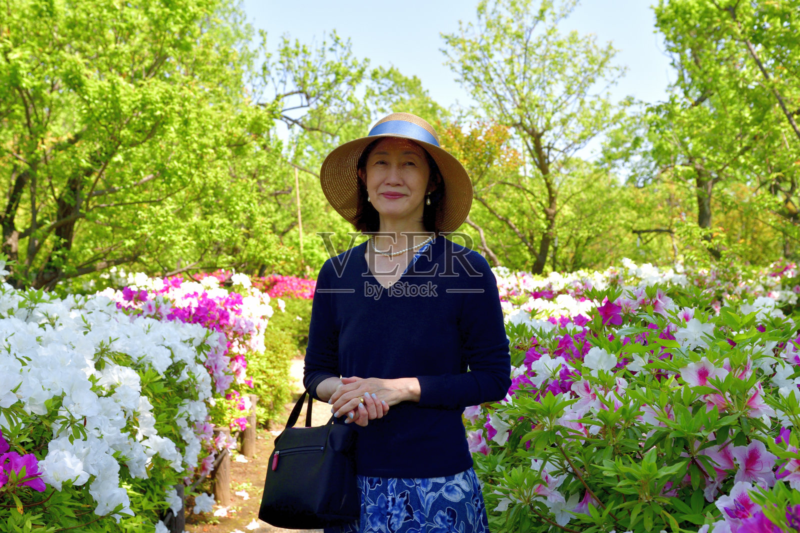 一名日本妇女在盛开的杜鹃花的东京公园散步照片摄影图片