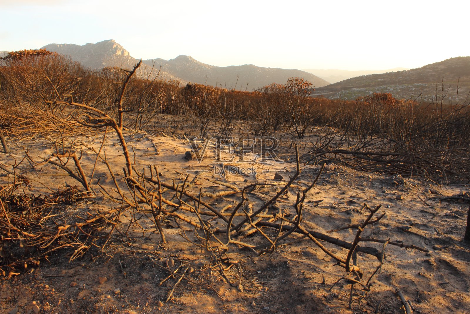 南非，大火肆虐，干旱的荒野景观被小的变形灌木覆盖，前景是一条土路，背景是夕阳下的山脉照片摄影图片