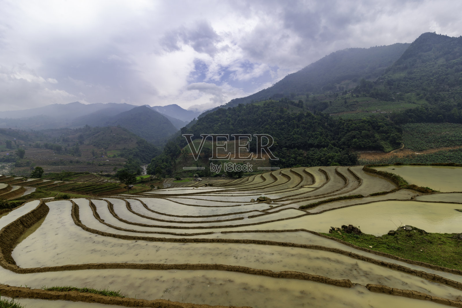 稻田梯田。云中山景。越南西北部老街省萨帕市照片摄影图片