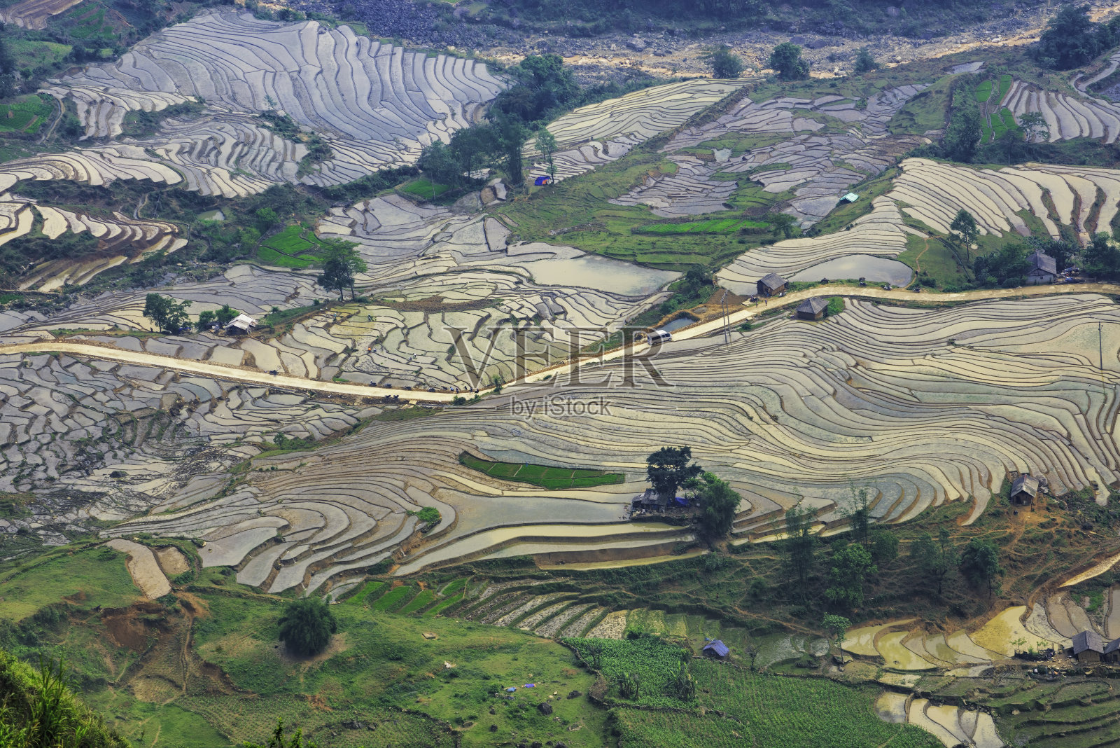 美丽的梯田拔水季节，在Y Ty, Bat Xat，越南老蔡省照片摄影图片
