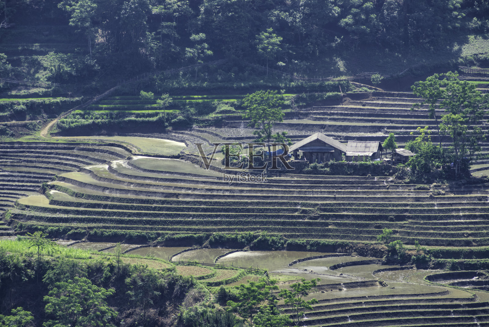 越南老街Muong Hum的梯田美景照片摄影图片