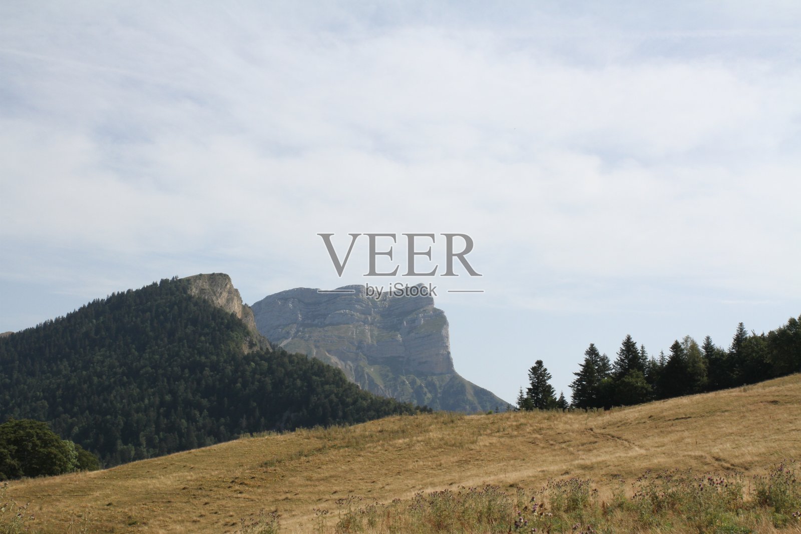 黄绿色的山照片摄影图片