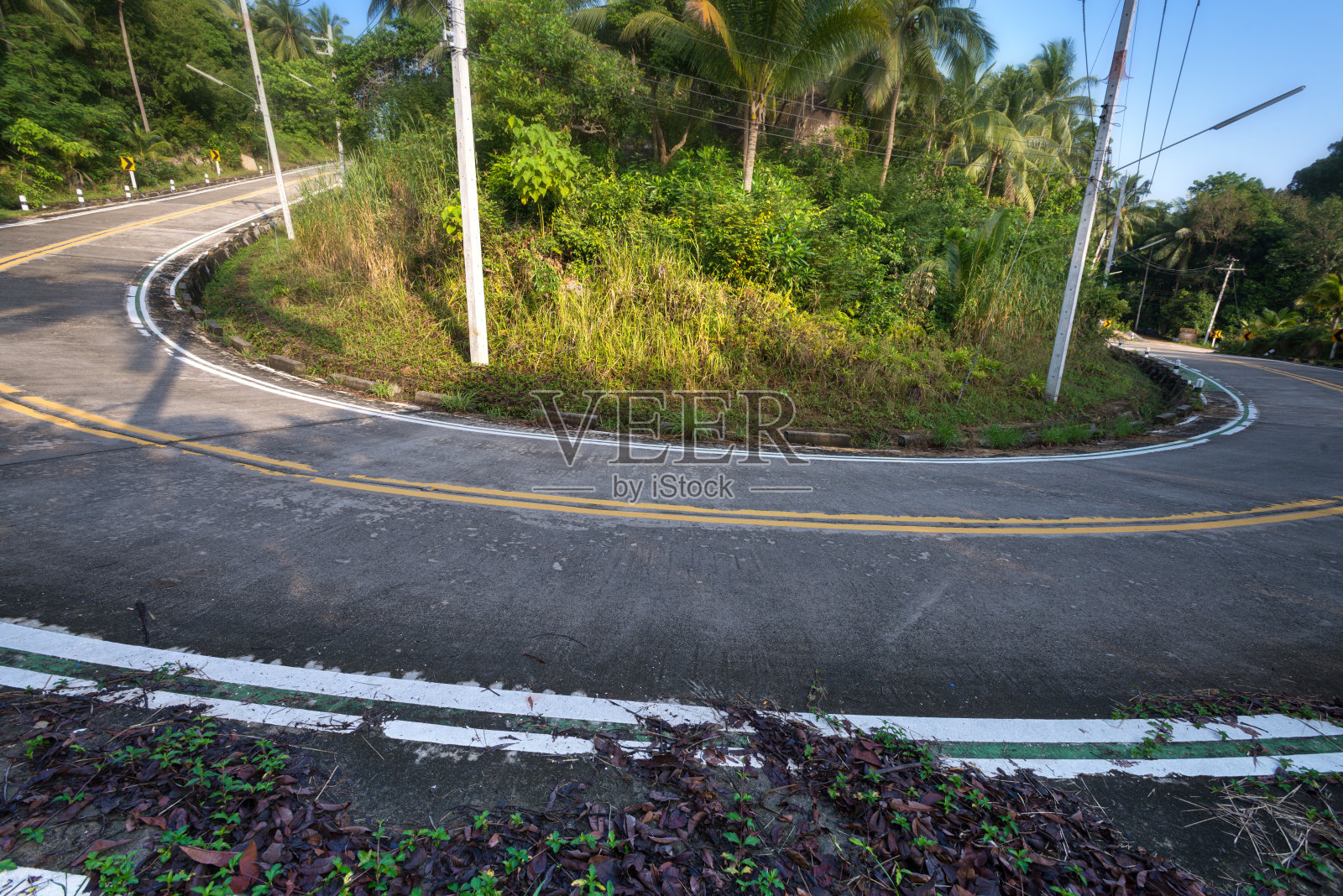 在热带岛屿高法银到Haad Sadet海滩的椰子树之间的丛林中空荡荡的蜿蜒道路照片摄影图片