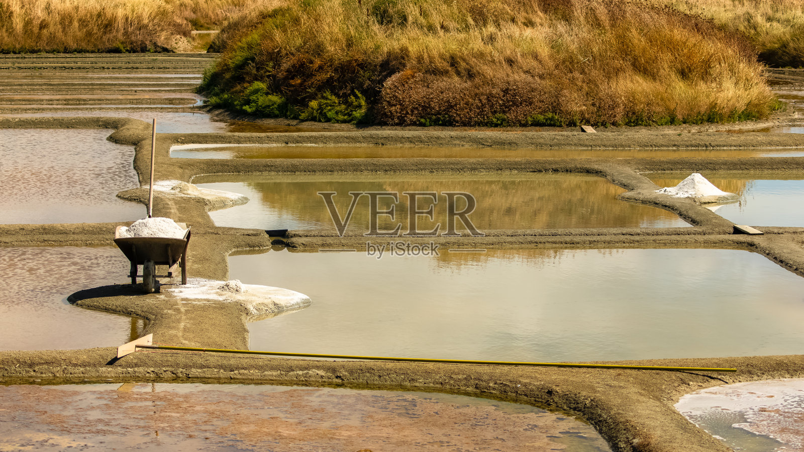 盐沼泽照片摄影图片