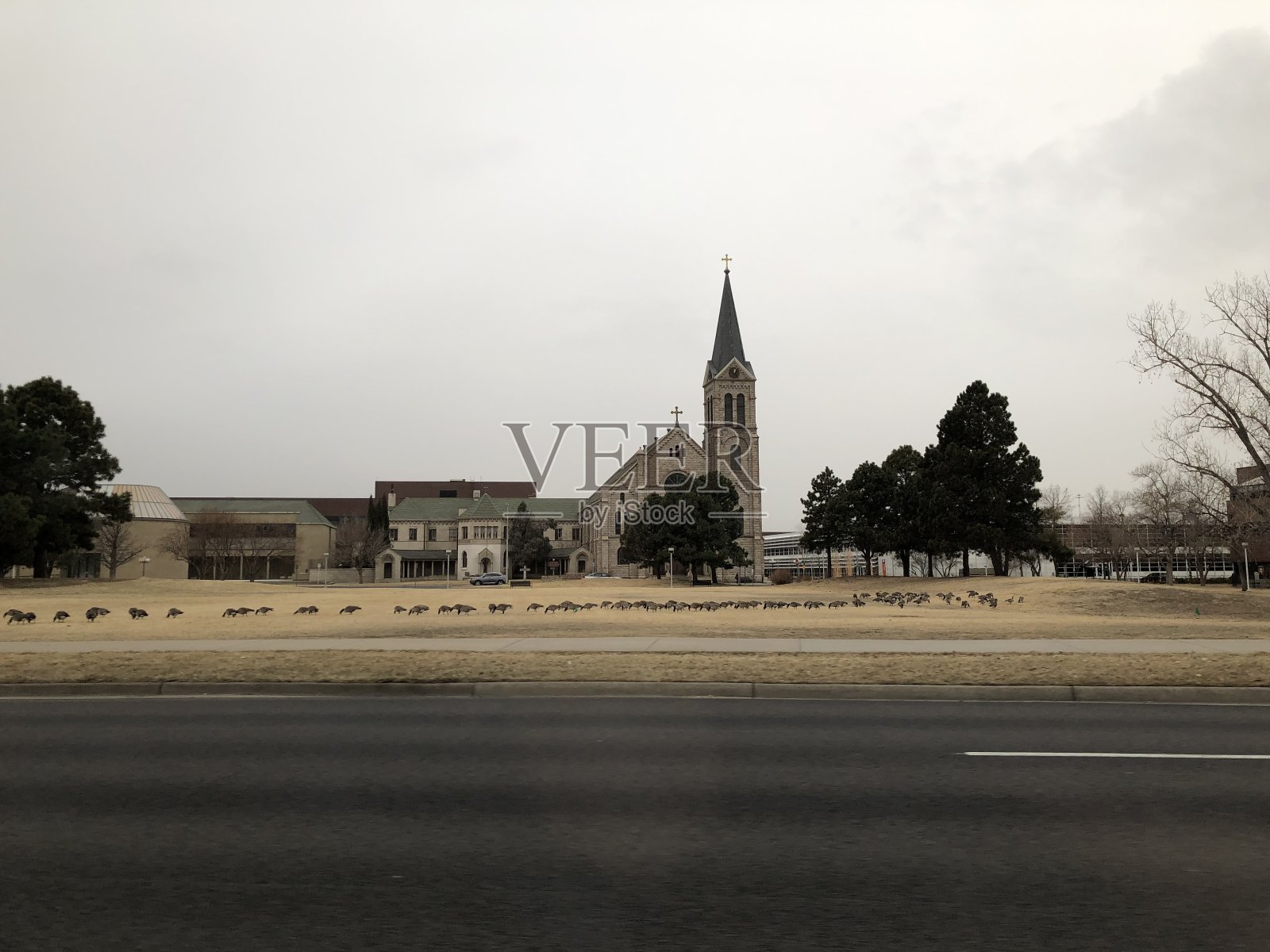 早上丹佛照片摄影图片