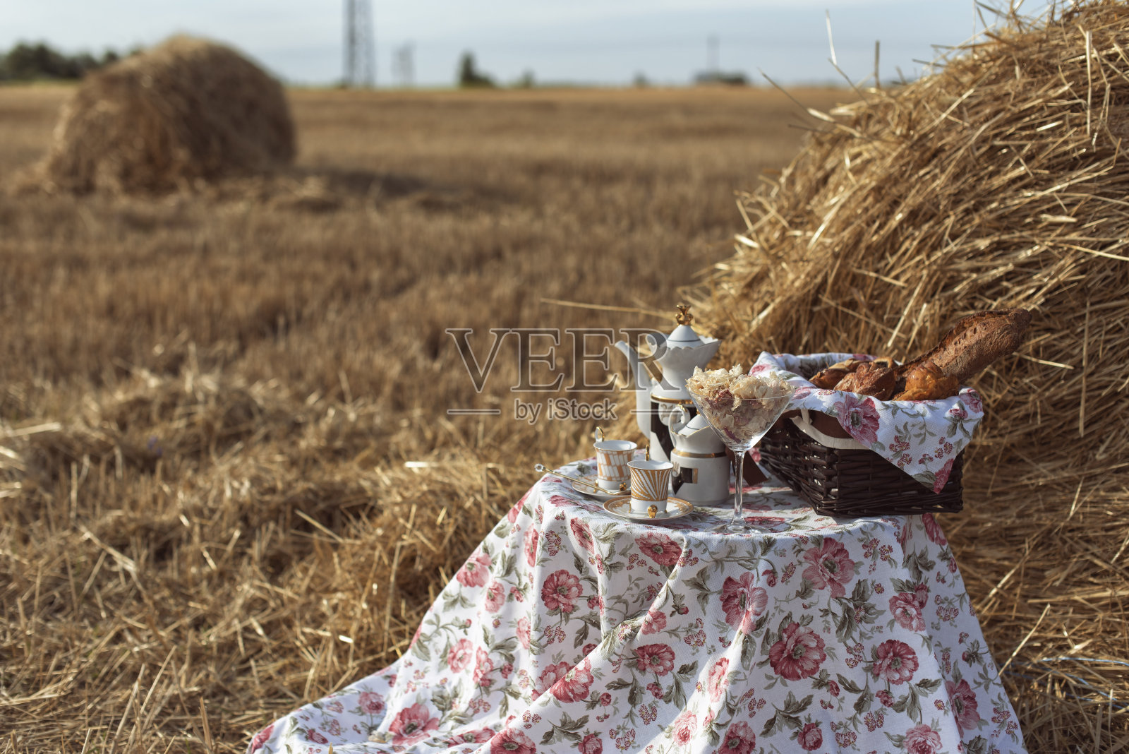 夏天在乡村的田野里野餐照片摄影图片