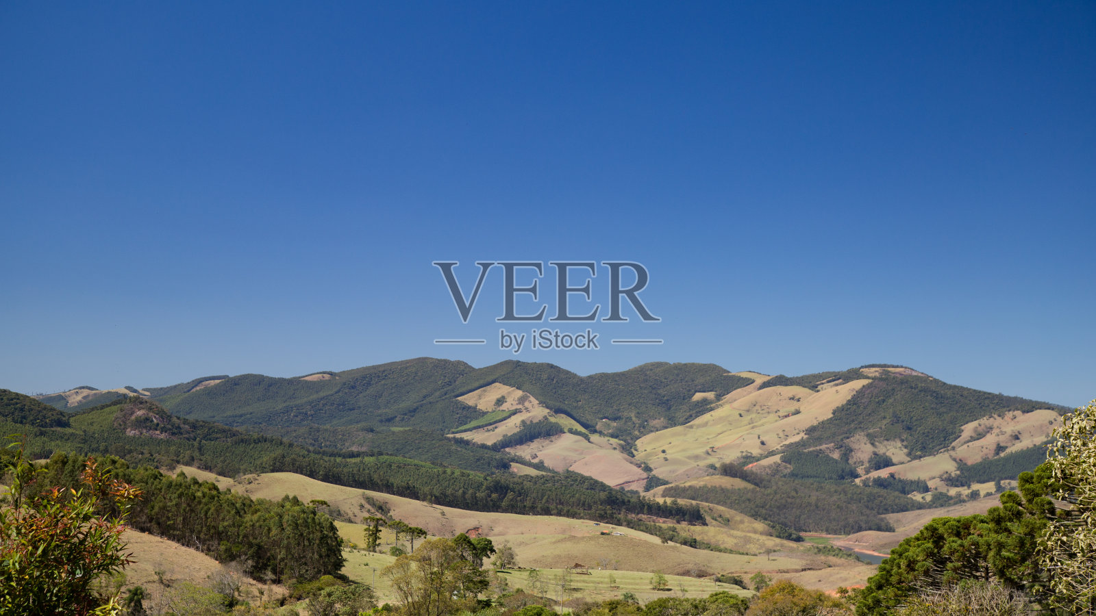 郊野景色照片摄影图片