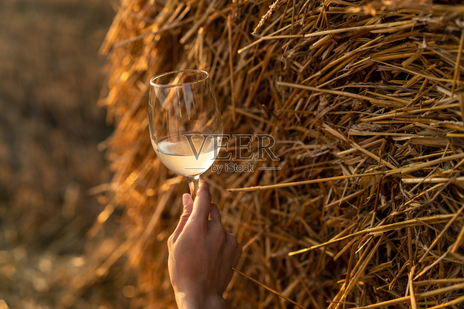 手捧一杯白葡萄酒，夕阳西下照片摄影图片