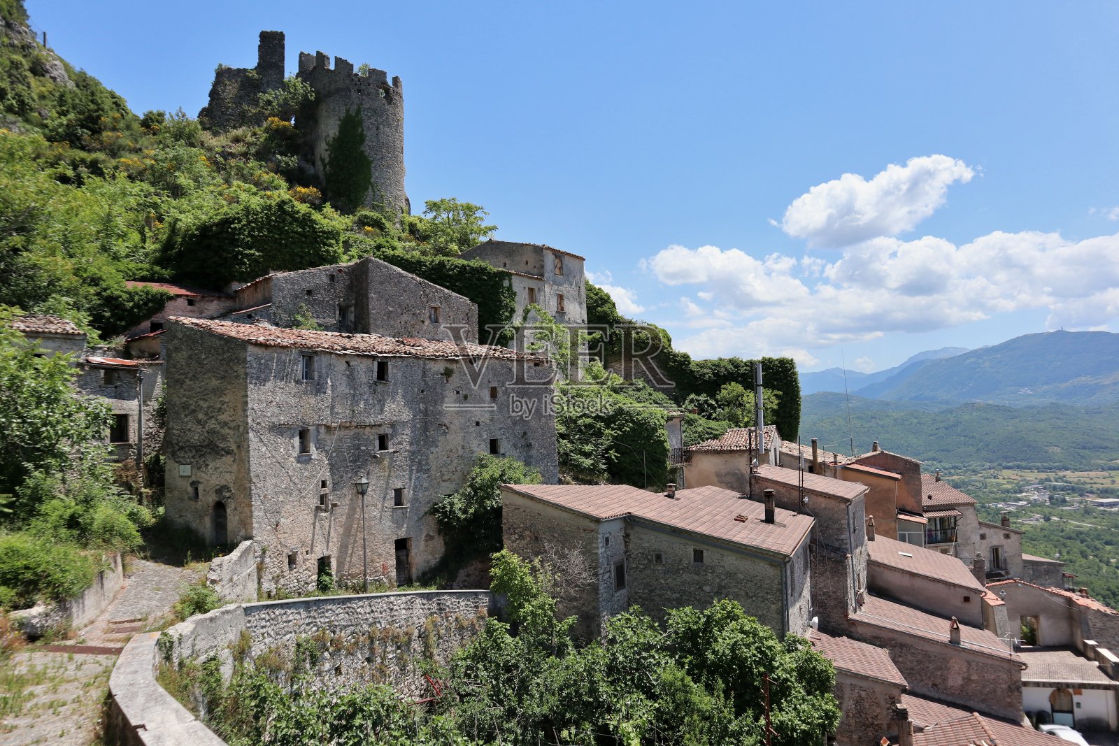 桃子——从小路上瞥见了这个国家照片摄影图片