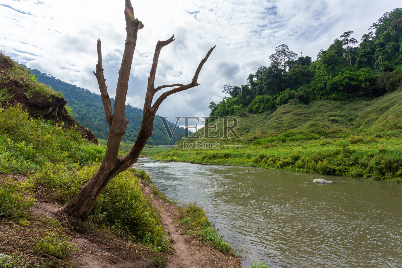 深山密林照片摄影图片