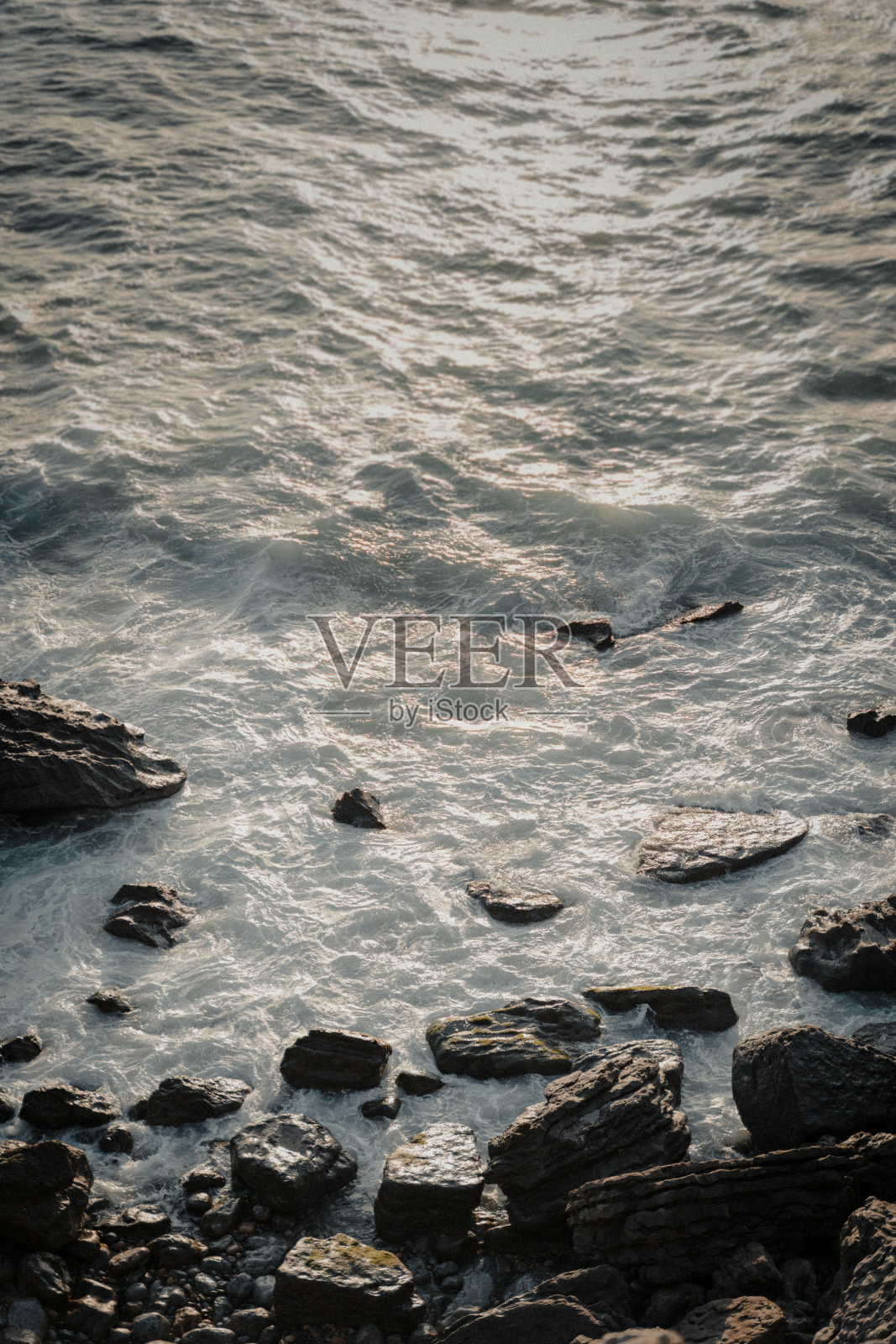 海洋照片摄影图片