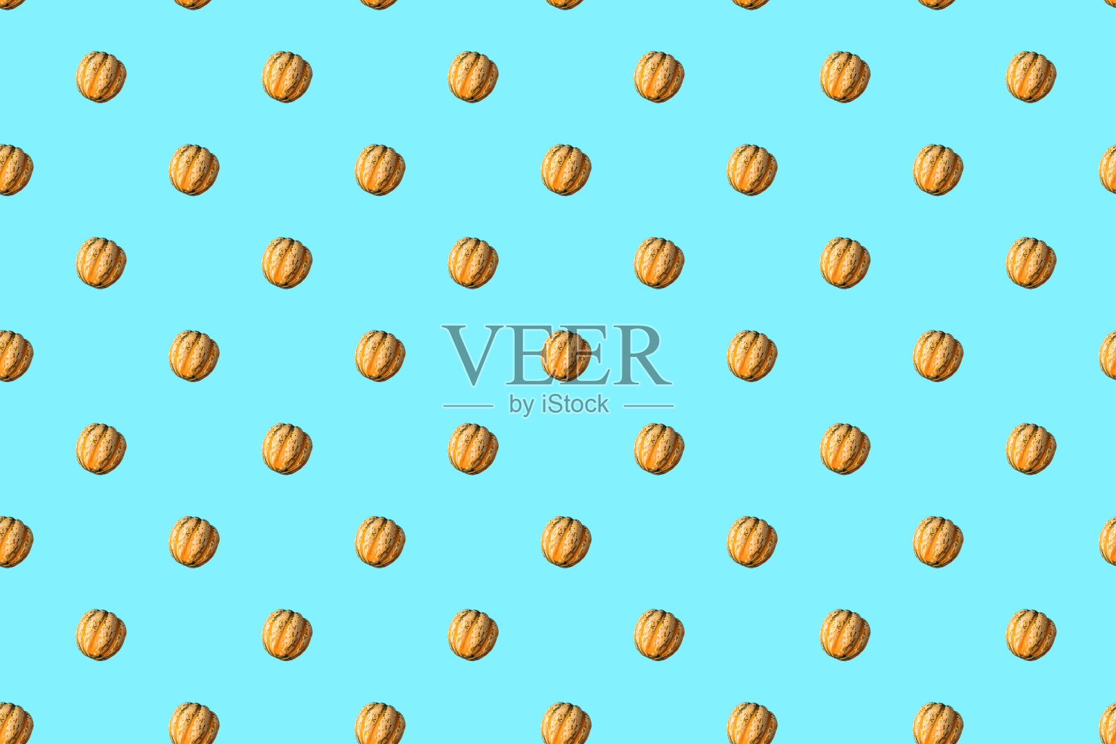 蓝底南瓜无缝图案。照片摄影图片