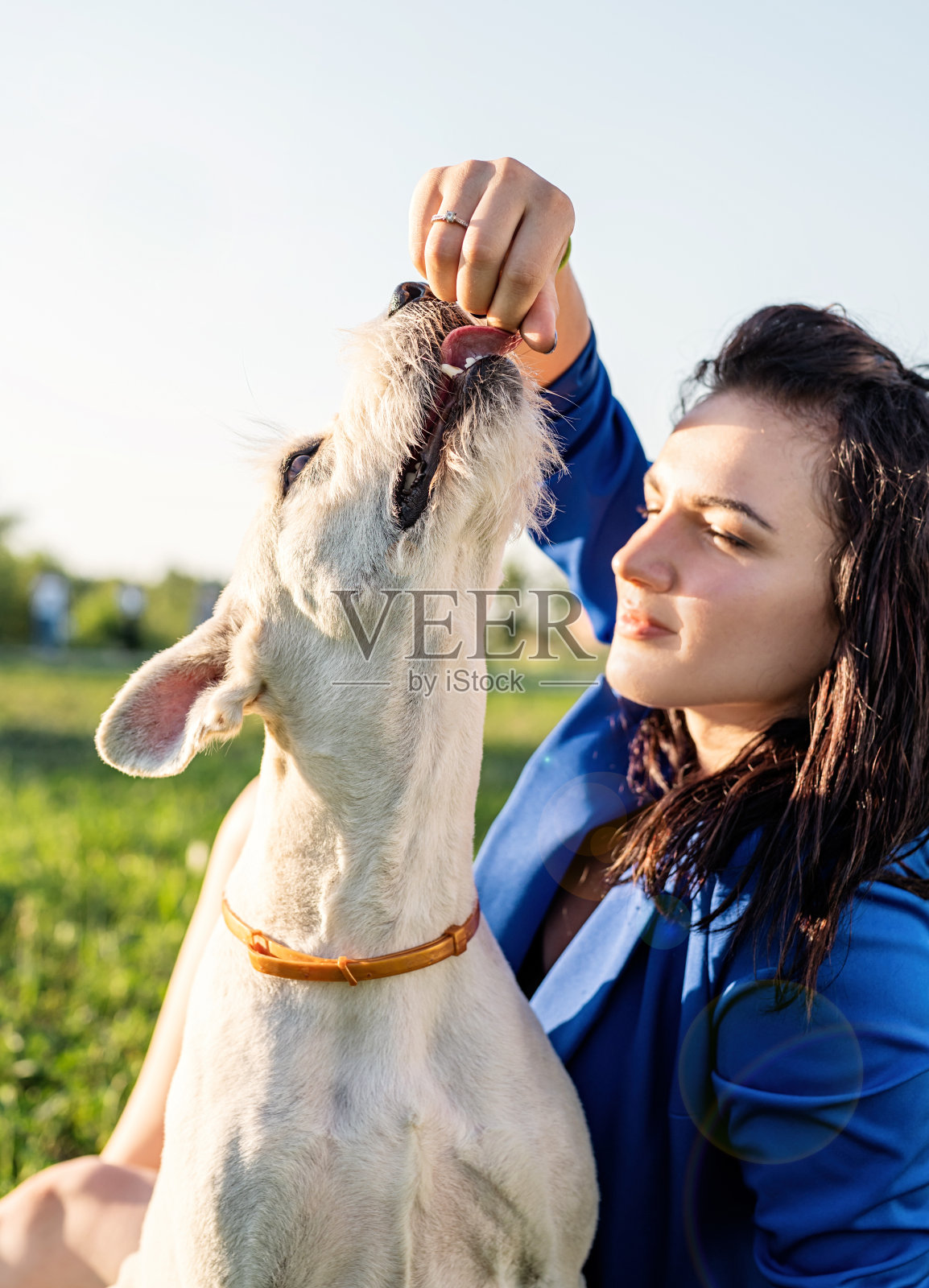 年轻迷人的女子在公园喂她的狗照片摄影图片