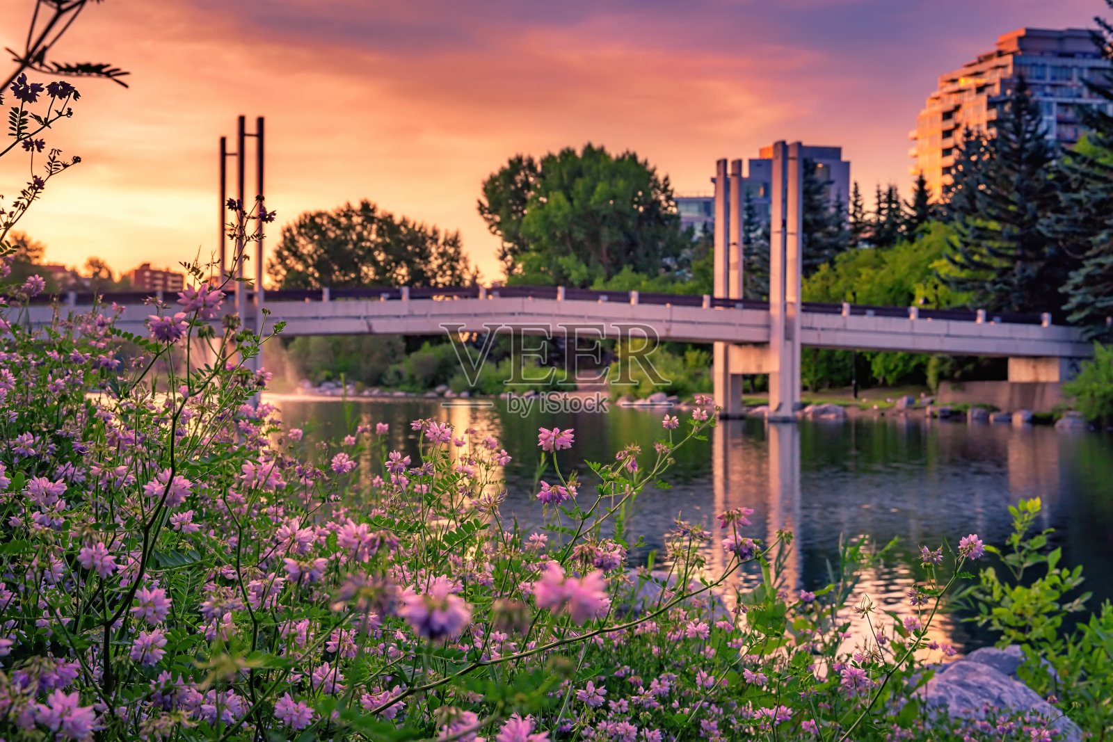 卡尔加里公园湖上的日出天空照片摄影图片