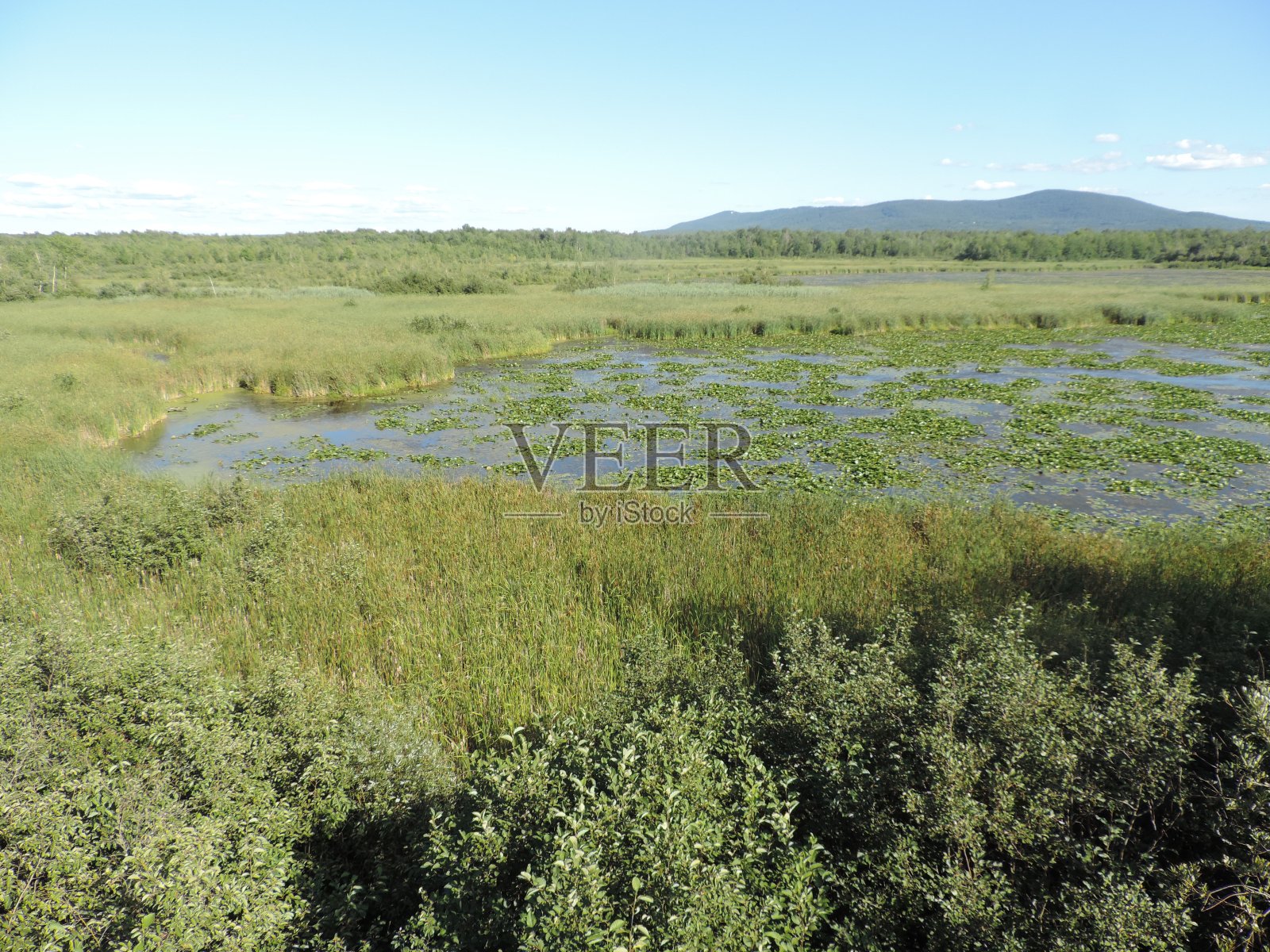 蓝天下的田野风景照片摄影图片